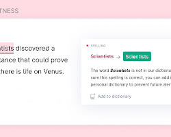 screenshot of Grammarly's suggestions