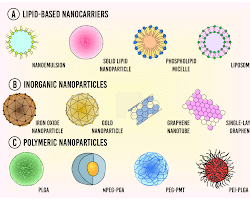 NanoHealth Therapeutics nanoparticle drug delivery system
