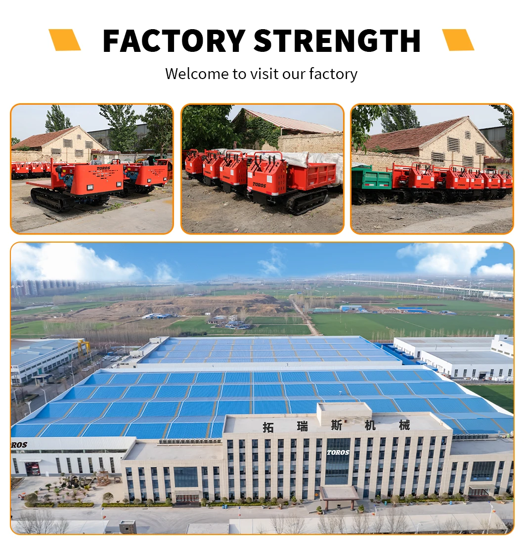 Dump Suitable Terrain Tons Truck Customized (snow, Terrains) - Commercial Use - Commercial Equipment | heavy | stability | vehicle - Image 19