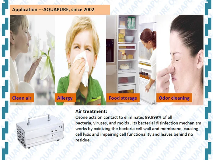 Generator Treatment: Ozone Treatment Unit - Odor Control - Purification, Reliability | 1g/h | 110V | Stainless steel (304) - Image 6