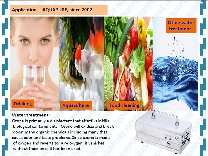 Generator Treatment: Ozone Treatment Unit - Odor Control - Purification, Reliability | 1g/h | 110V | Stainless steel (304) - Image 7