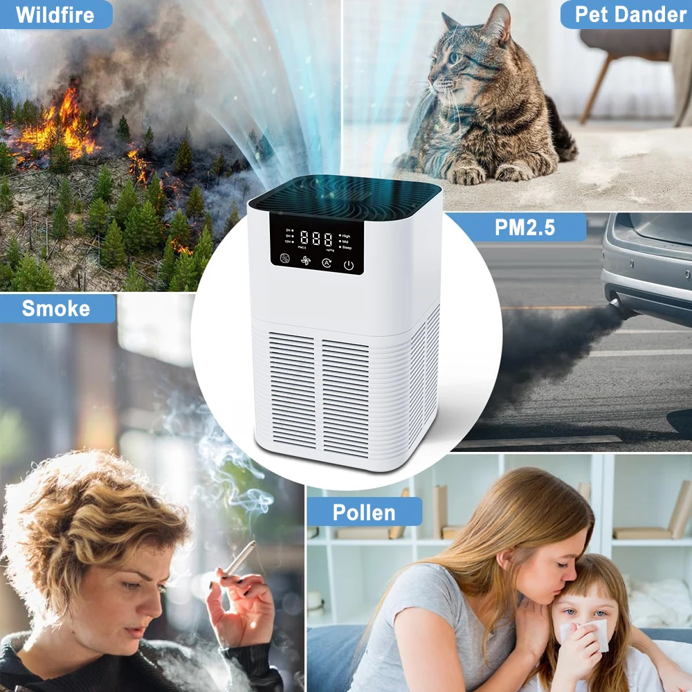 Air Hepa Smoke Ion (220v, Throughout) - Odor Control - Ozone Generator | 220V | enhance | fragrance | only | Industrial Ozone Generators - Image 2