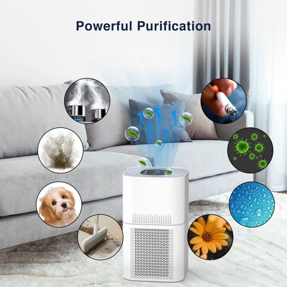 Home Hair Humidifier True (visually, When) | Commercial Equipment | Commercial Use | description | system | whisper | Commercial Equipment - Image 8
