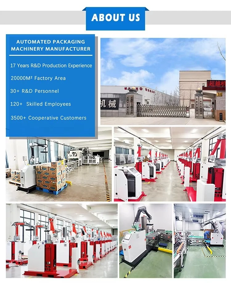 Picking Arm Collaborative Robotic Loading Handing Palletizer (2500w, 220v) | Commercial Equipment | Commercial Use | 220V - Image 12