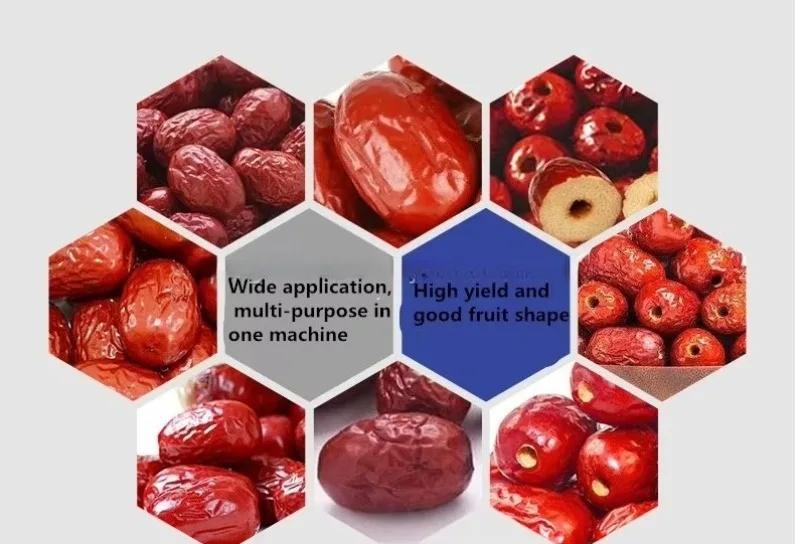 Processing Production Automatic (stainless Steel, Matter): Commercial Equipment - Commercial Use | 220V | Stainless steel | fell - Image 3