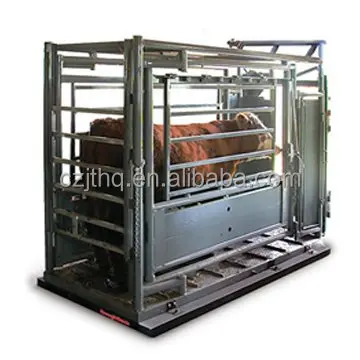 Scale/animal Scale/cattle Kingtype (stainless Steel, Weighed) - Commercial Equipment - Commercial Use | Stainless steel | 1.2m | 1.5m
