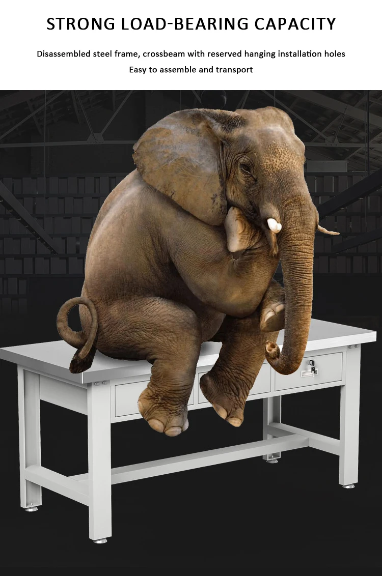 Workshop Packaging Anti-static Workbench (stainless Steel, Within) | Commercial Equipment | Commercial Use | Stainless steel - Image 9